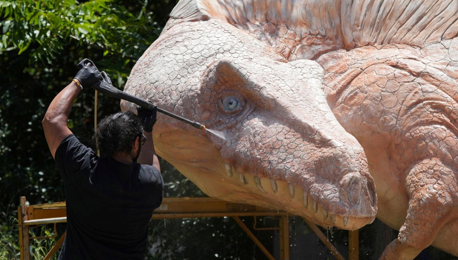 bilim insanlari yeni bir dinozor turu kesfettisonlokmasi ortaya cikti ZeEuDpxK