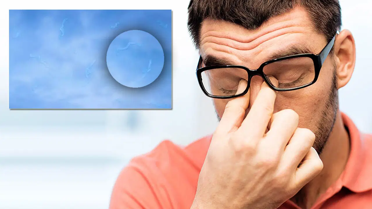 gorus alaninda ucusan sekiller gorenler icin acil uyari NW2hs6lC.jpg